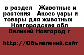  в раздел : Животные и растения » Аксесcуары и товары для животных . Новгородская обл.,Великий Новгород г.